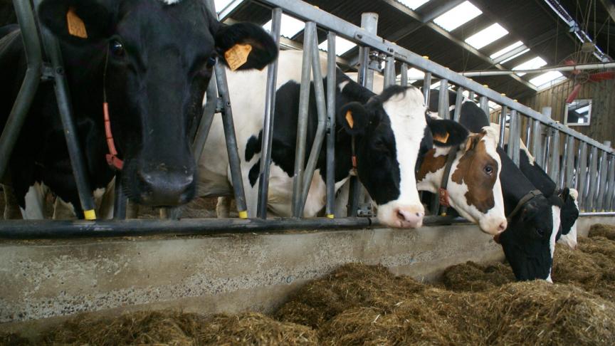 De overheid kan gegevens over vee opvragen zonder de boer lastig te vallen.