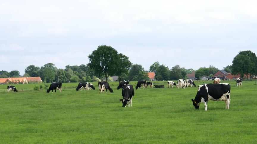 Zowel Arla als FrieslandCampina hebben de melkprijs voor juli verhoogd.