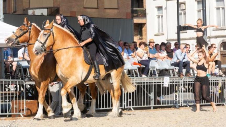 De Slotshow werd een wervelende show met Vlaamse paarden.
