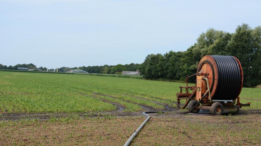 Droogte treft grote delen van Europa.