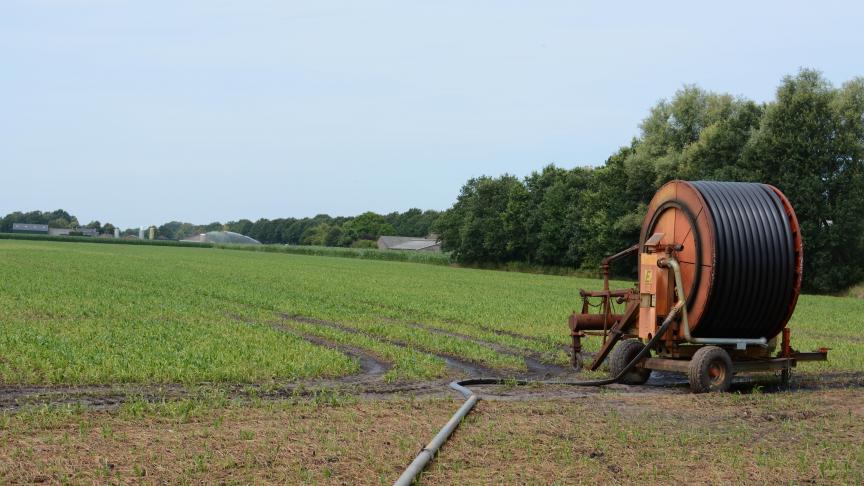 Droogte is een groeiend probleem in delen van Vlaanderen.