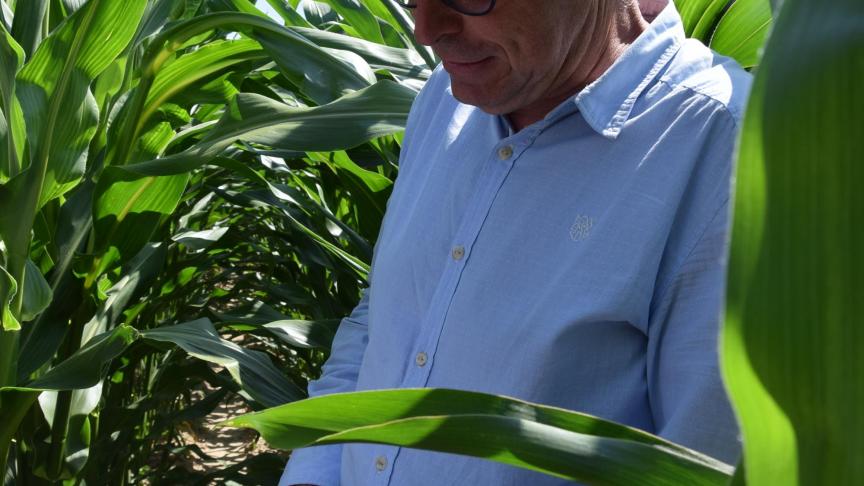 Joos Latré wist naast de proef in suikerbieten meer te vertellen over de proeven in maïs.