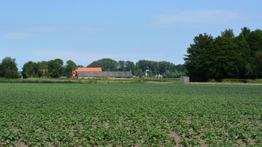Schauvliege wil met de ‘betonstop’ ervoor zorgen dat voldoende open ruimte voor landbouw, natuur en recreatie over blijft.
