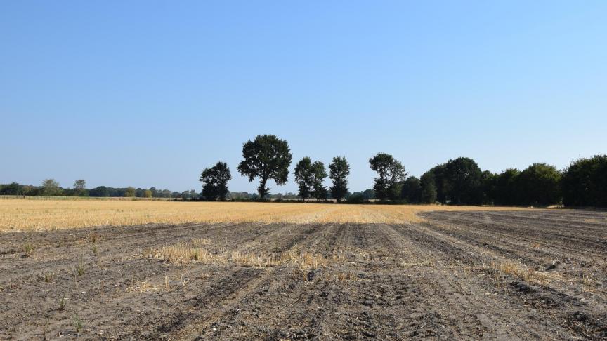 Ander negatief kantje van de extreme droogte: weiden en graanvelden die in brand staan.