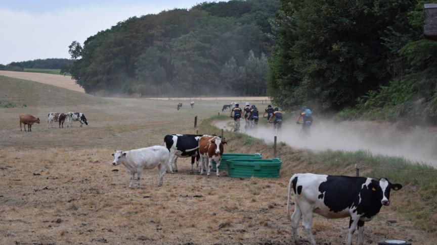 Weiden worden dor, dieren hebben extra water en voeder nodig, terwijl de plattelandsliefhebber extra stof doet opwaaien.