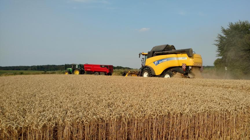 De gemiddelde opbrengst over alle locaties heen lag dit jaar op 11.292 kg/ha. Wel moet opgemerkt worden dat dit in ‘proefveldomstandigheden’ is, praktijkresultaten liggen ongetwijfeld logischerwijze lager.