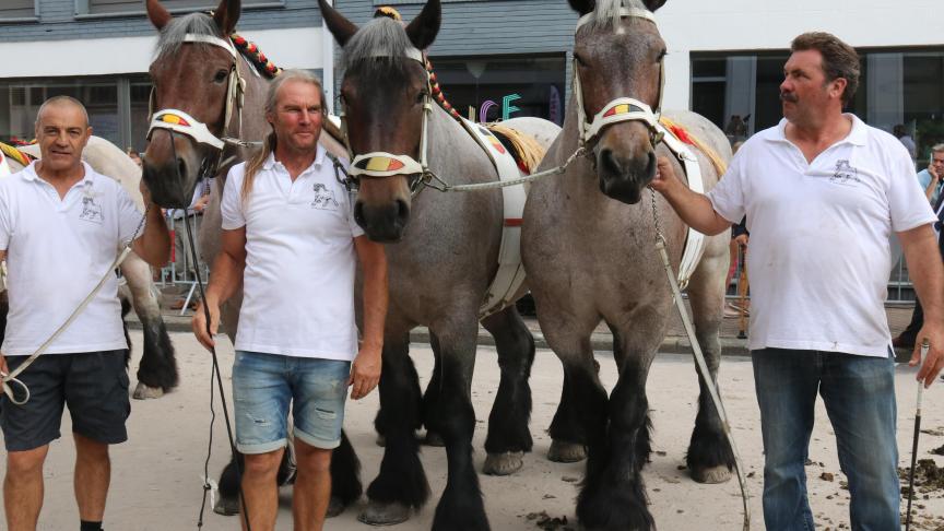 Stal Johan Vereertbrugghen, eerste prijs bij de loten van 3 merries. Eig.: Johan Vereertbrugghen, Opwijk.