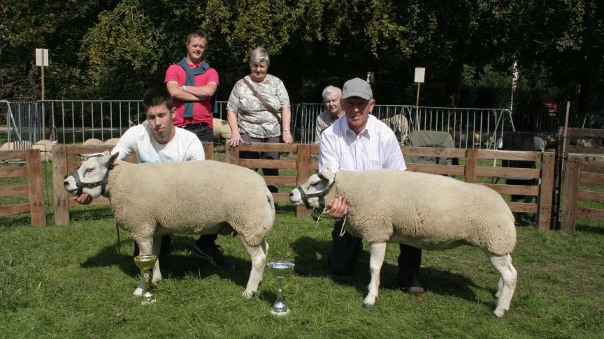 Oude ooi kampioen: 4141-0654, Suys E, Nieuwenrode; Reserve: 4188-0108,  Tondeur R, Kester.