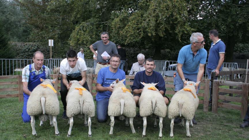 Vijf beste ramlammeren: 4099-0282, Van Lier J, Nieuwenrode; 4141-0901, Suys E, Nieuwenrode; 4195-0689/0713, Van Avermaet R, Opwijk; 4175-0225, Sammels J, Asse.