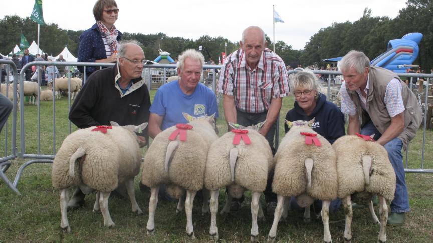 Vijf beste ramlammeren: 1055-0795/0781/0840 Sprangers J. Meer, 1108-0386 Van Meerbeek M. Noorderwijk.