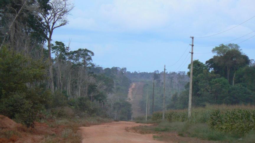 Boerderijen in de Braziliaanse deelstaat Mato Grosso liggen vaak in of tegen het regenwoud aan.