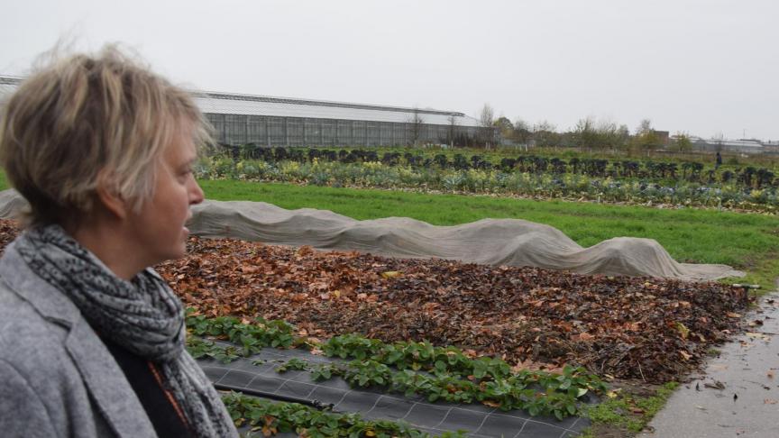 Minister Schauvliege vanochtend bij bezoek aan een biologisch CSA-bedrijf in Lochristi.