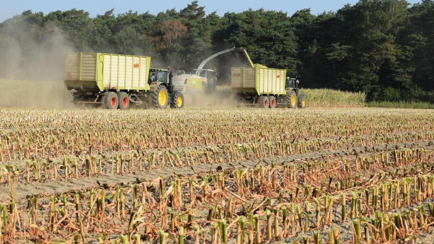 KWS is niet tevreden met de officiële maïsproeven van dit jaar.