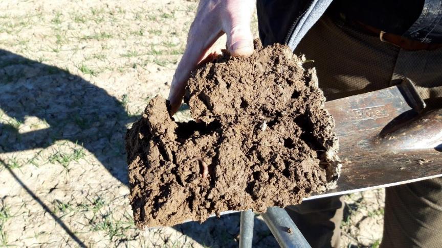 Beoordeling van de structuur van de bovenste bodemlaag door een kennispendelaar.  Naast een beoordeling van de structuur en beworteling wordt ook het bodemleven –  de aanwezigheid van regenwormen en schimmels – in deze laag gescoord.