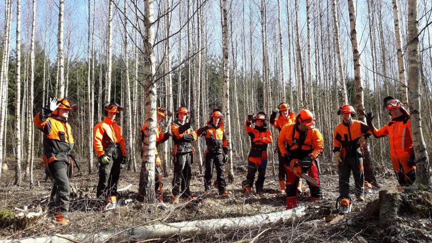 Diverse studenten gingen voor een bosbouwstage naar het met bomen bezaaide Estland.