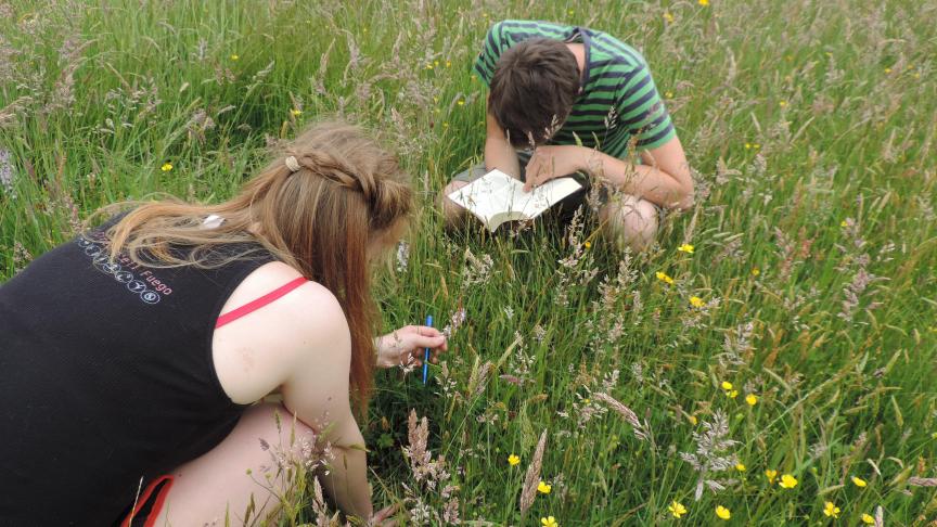 Studenten groenmanagement staan vaak letterlijk in het veld.