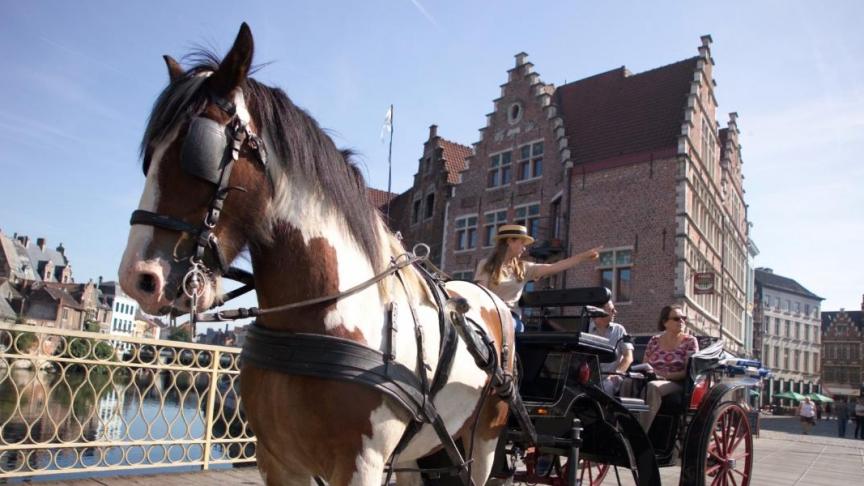 De gemeente Gent wil paarden uit de binnenstad weren.