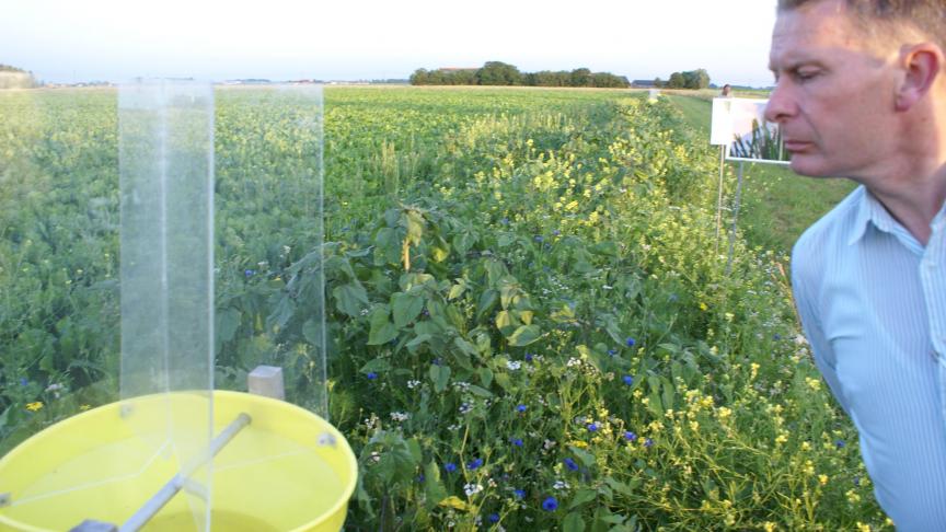 De insectenstand wordt gemonitord.