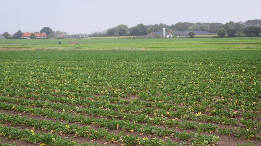 De voorbije twee jaar was er dan weer meer droogte, met een erkenning tot landbouwramp als gevolg.