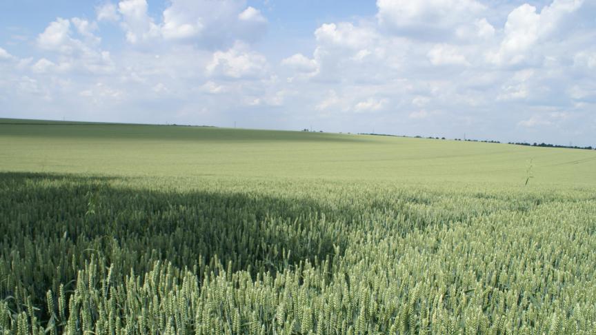 Het kan nog tientallen jaren zal duren om de huidige hoge fosforgehaltes in de bodems van de vele Vlaamse percelen binnen de vooropgestelde streefwaarden komen.