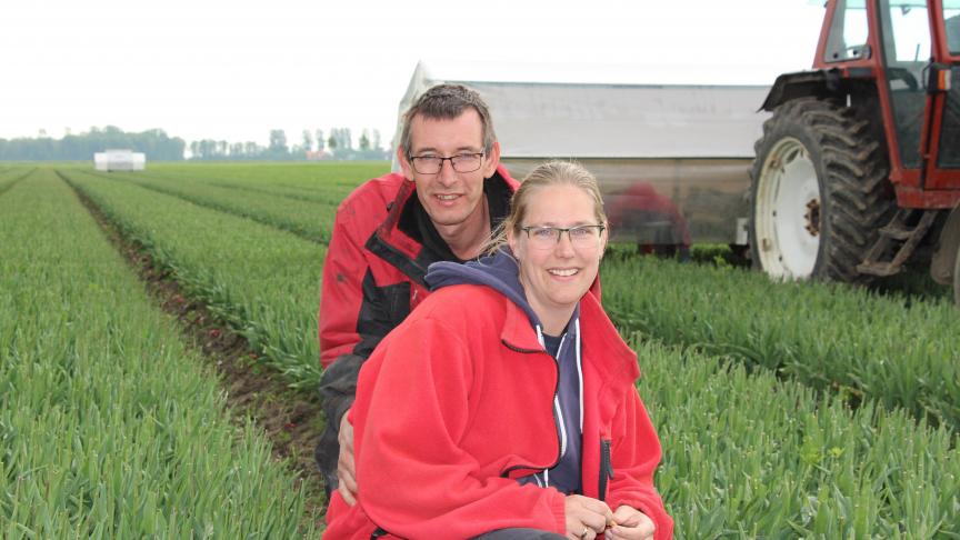 Een van de redenen voor Stefan en Hillie Maerman om over te stappen naar biologisch was hun ervaringen met de gangbare teelt van bieten. Stefan: “Met chemische middelen kregen we het land gewoonweg niet meer onkruidvrij en mechanisch wel.”