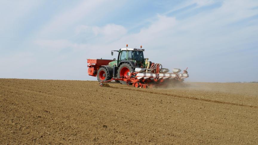 Seed@Bel vertegenwoordigt vrijwel de gehele Belgische zaaizaadsector.