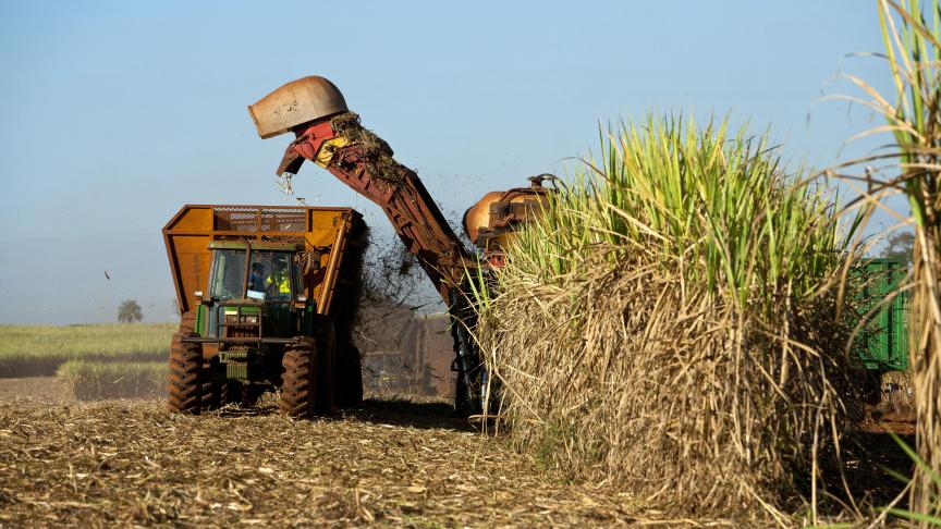 ABS vreest net als Boerenbond dat toenemende Zuid-Amerikaanse concurrentie de inkomens van boeren verder onder druk gaat zetten.