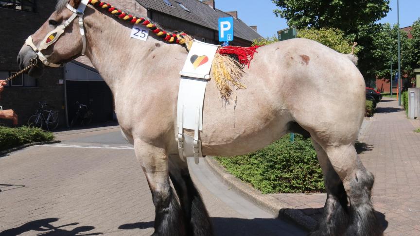 Interprovinciale Prijskamp: Ariane van ‘t Bos, eerste prijs bij de meries met veulen 2e reeks,
eig. Bvba Marc & Kris Pollet – Torhout