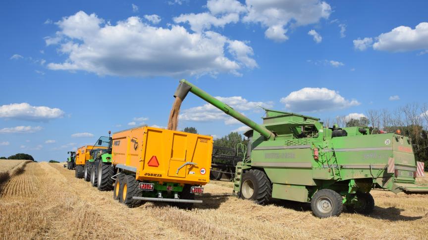 De ontvangstvoorwaarden voor inlandse granen oogst 2019 blijven grotendeels  onveranderd. Foto: