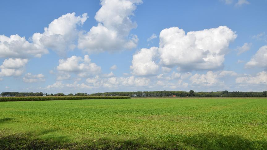 Vanaf dit jaar zal de perceelsmonitoring laat ook gebeuren met behulp van satellietbeelden.