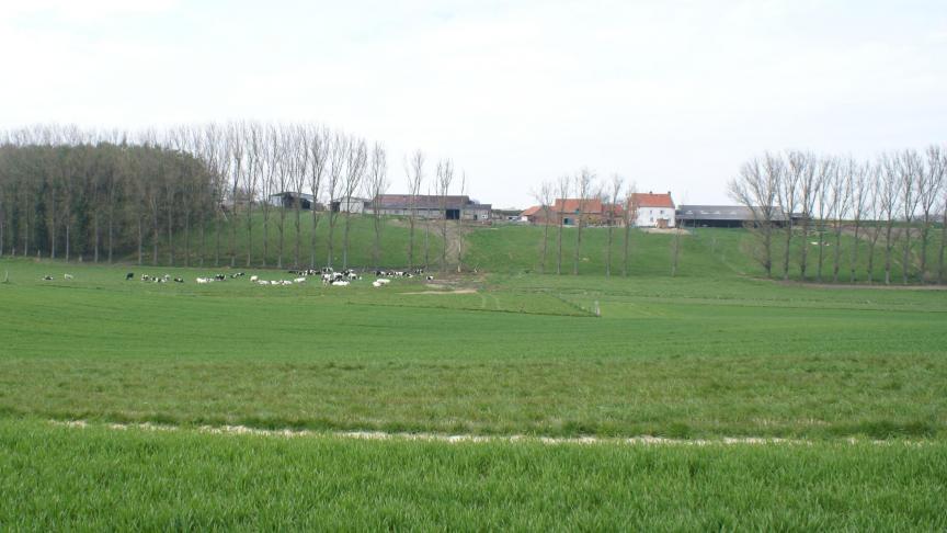 Tussen 1980 en 2018 verdween 68% van de landbouwbedrijven in ons land en ging meer dan 62% van de banen verloren.
