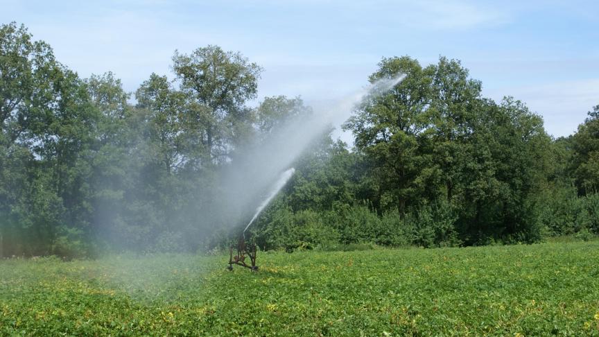 Verschillende provincies volgen het advies van de commissie meteen op en vaardigen een captatieverbod op ecologisch kwetsbare waterlopen uit.