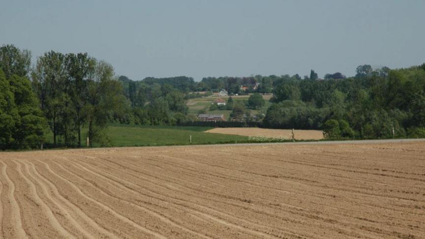 Het grootste deel van het ruilverkavelingsgebied in Gooik zijn akkers en weiden.