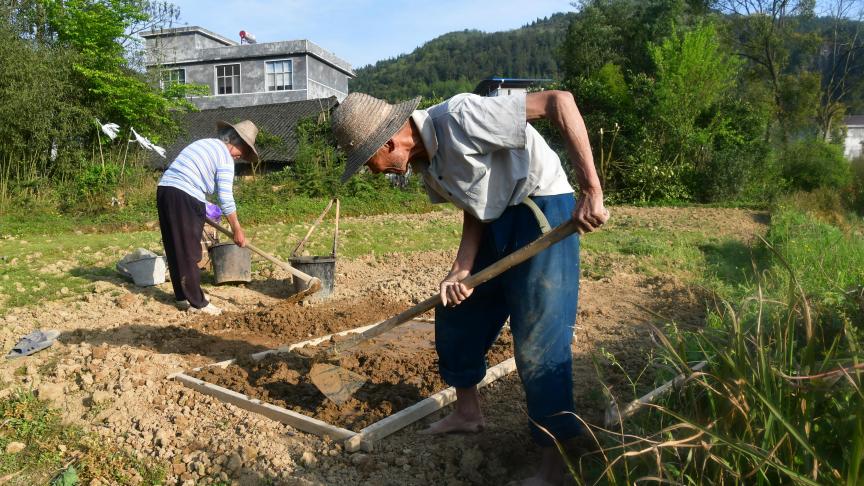 Voorbereiding van een aanplanting maïs door een koppel ouere landbouwers in het dorp Nongyuan