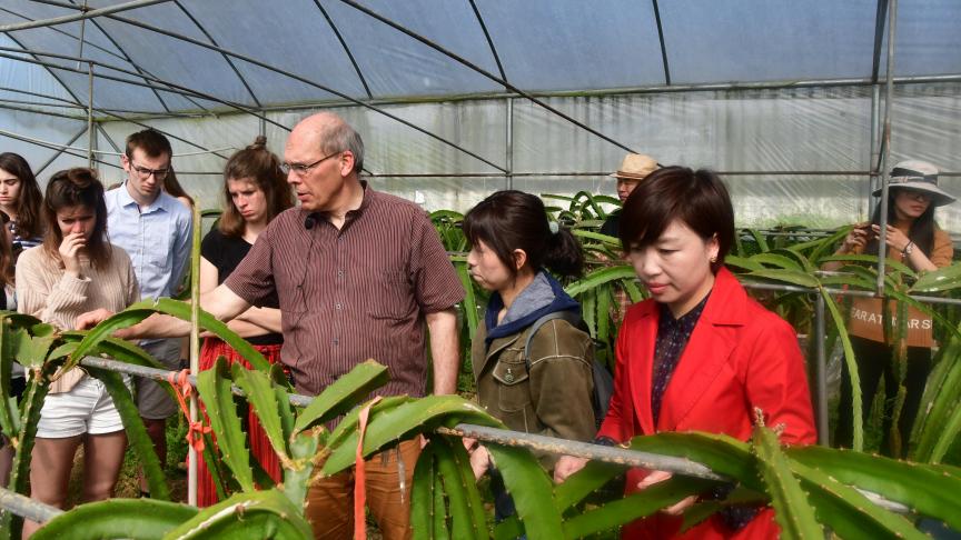 In het dorp Nongyuan werd, onder de leiding van de directrice van de groente- en fruitcoöperatie, mevr. Xiang (rechts), en professor François Serneels (midden op de foto) een bezoek gebracht aan serres voor de productie van pitaja of drakenvrucht.