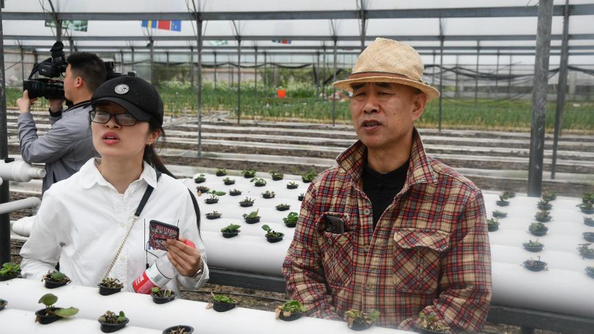 Bezoek aan de serres van de landbouwacademie van Enshi, waar diverse productietechnieken en hydropanie, aeroponie en substraatteelt worden getest. Van links naar rechts, de aardappelspecialiste Wang Zheng en Che Xingbi, gewasbeschermingsspecialist.