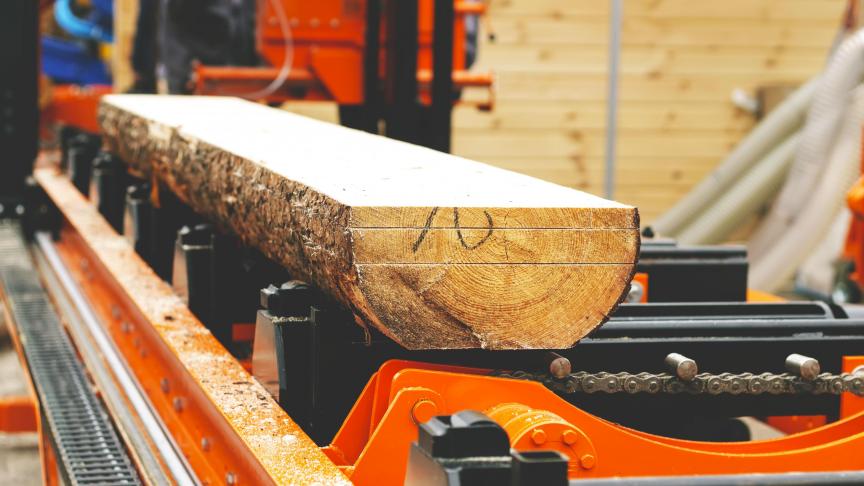 In Wallonië moeten de zagerijen van loofhout en naaldhout het hoofd bieden aan totaal verschillende omstandigheden.