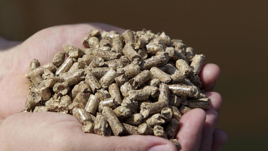 Les granulateurs, ou producteurs de pellets, deviennent des acteurs  de premier plan de la filière bois.