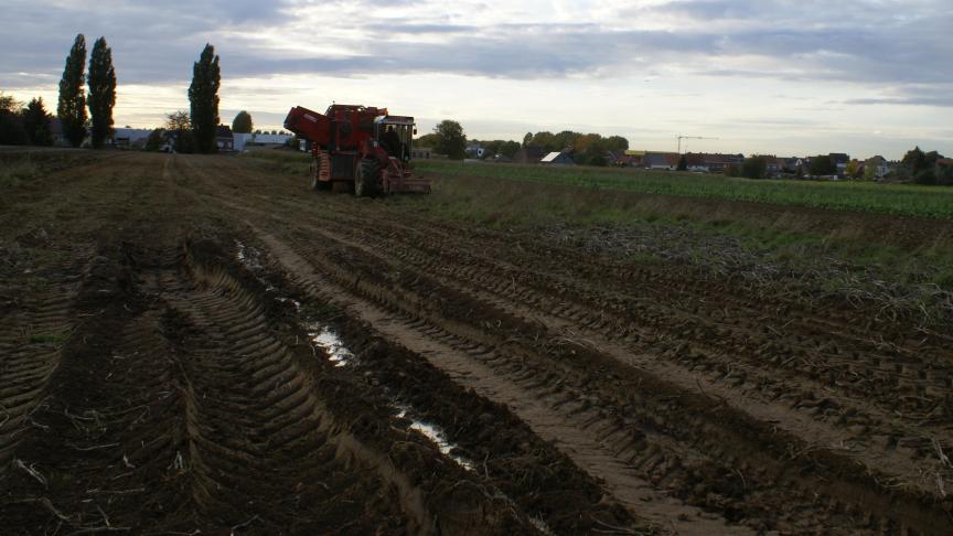 De Waalse aardappelboeren kunnen voortaan een verzekering afsluiten tegen excessieve regenval. De dekkingsperiode van de verzekering loopt van 1 oktober tot 15 november, een risicoperiode verbonden aan de oogst van de knollen.