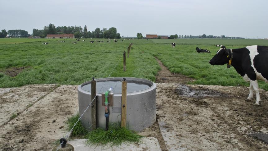 In tijden van droogte moet je zeker weten hoe goed of slecht de kwaliteit van de waterbron op jouw bedrijf scoort. Je komt het te weten op www.watertool.be.