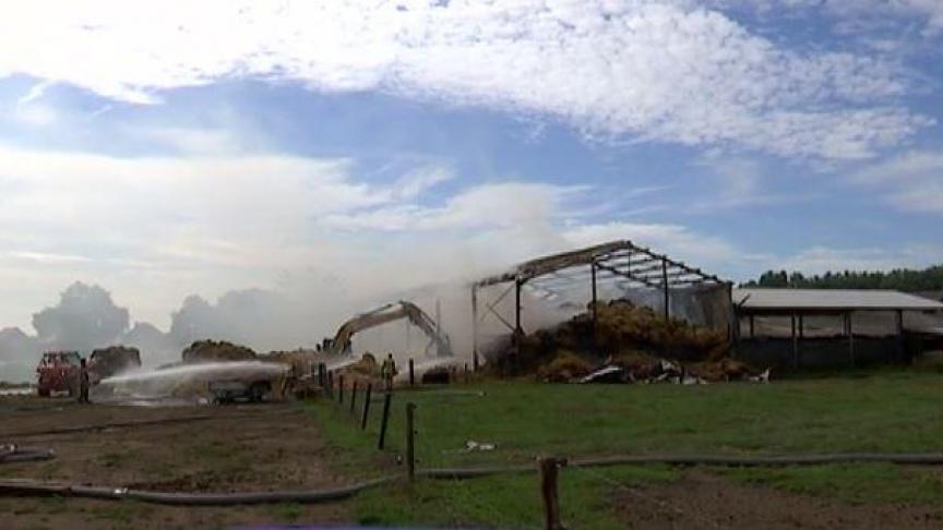 In de afgebrande loods lagen 700 balen stro. Daarnaast veroorzaakte de brand ook grote schade aan een aanpalende loods en een rundveestal. Twaalf koeien kwamen om in de vlammen.