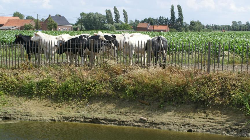 Map6 is bedoeld om de waterkwaliteit te verbeteren.