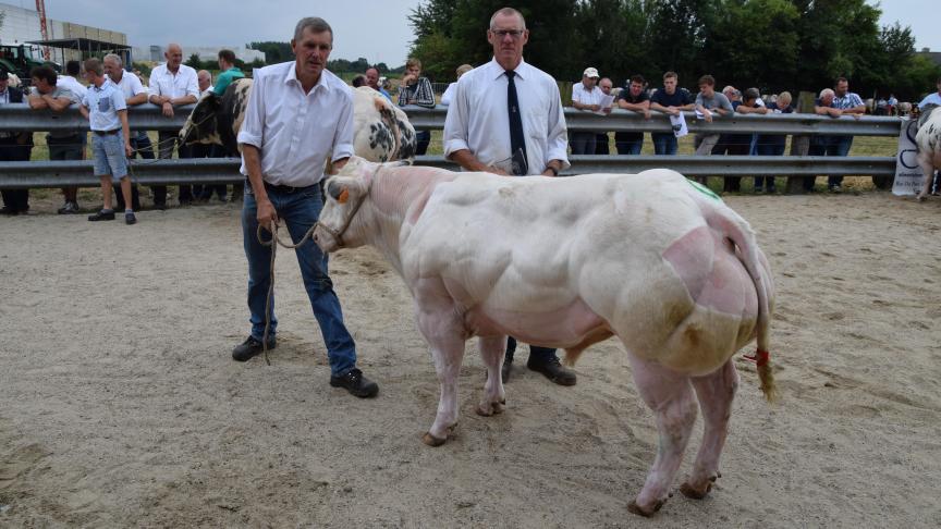 Kampioenschap Mr Toekomst stieren van 6-12 maanden. Nadaar Van Moorsel van veehouder Van Der Biest Frans.