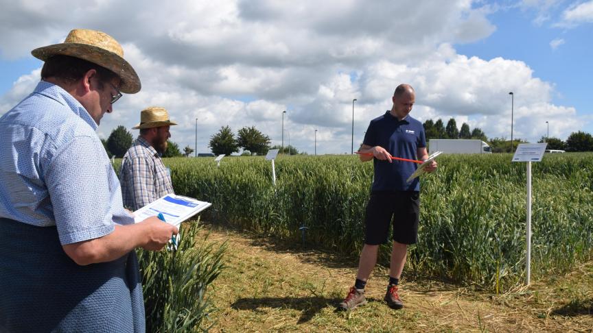 Crop Advisor Ben Vorstermans geeft uitleg bij de tarweproeven.