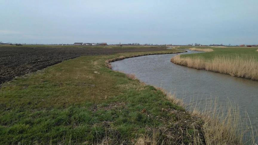 Innovatieve equivalente maatregelen kunnen ervoor zorgen dat landbouwers maatregelen kunnen nemen die verder afgestemd zijn op hun bedrijfsvoering.