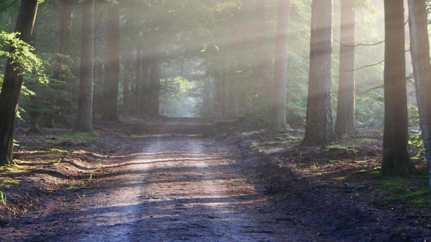 Natuurpunt stelt tevreden vast dat er meer natuur bijkomt, dat de landbouw verduurzaamt, en dat de ambitie om de open ruimte te behouden overeind blijft.