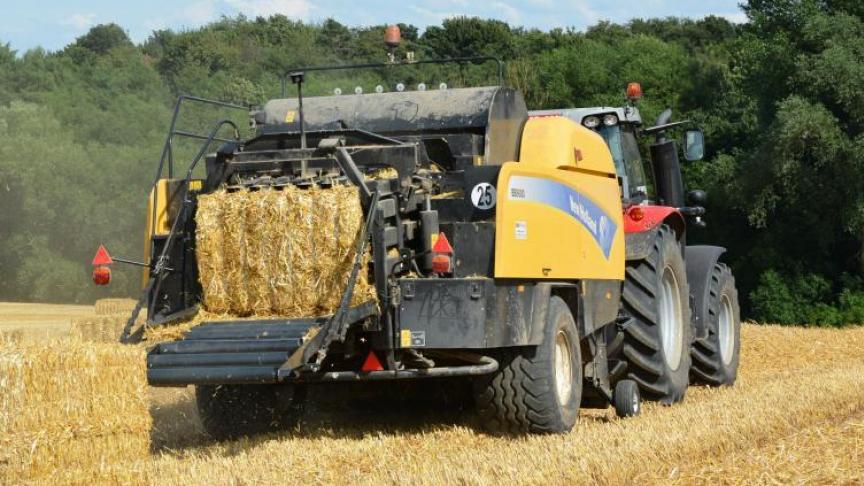 Vlaanderen moet maximaal inzetten op de actieve landbouwers.