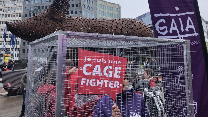 De sculptuur van een springend varken werd ontworpen door de Nederlandse kunstenares Jantien Mook en kreeg de naam Ode aan het varken.