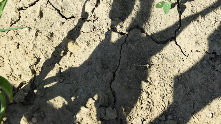 Een erkende brede weersverzekering dekt minstens de weersfenomenen storm, hagel, vorst, ijs, regenval en droogte.