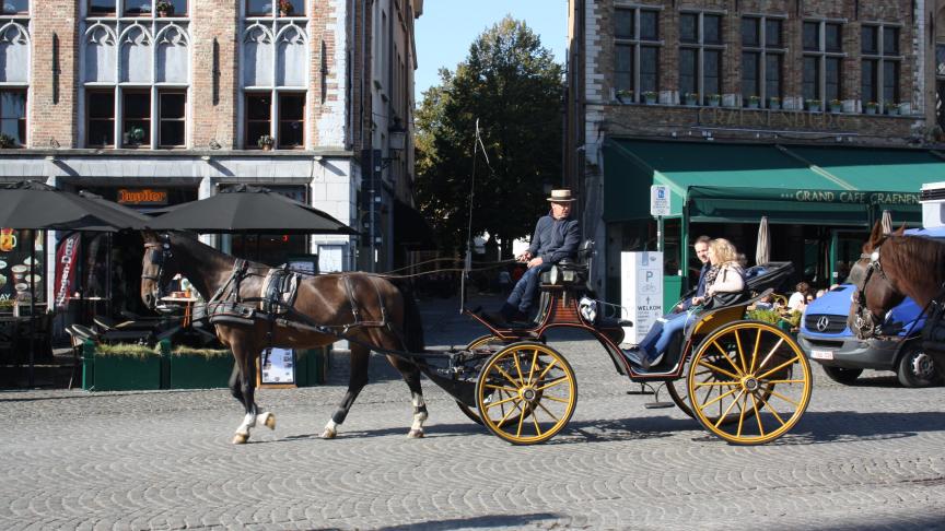 In Brugge krijgen de koetspaarden elke 10 minuten pauze met eten en drinken.